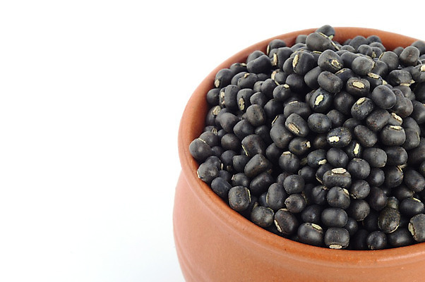 포토 JPG 해외이미지 식물 음식 백그라운드 농업 채소 재료 자연 콩 건조 건강 씨앗 사람없음 목재 농작물 농장 쌓기 검은색 수확 성장 흰색 시골 신선 맥박 냄비 작음 낟알 인도인 시리얼 날것 점토 박테리아 흙더미 내추럴 고립 채식주의자 해외202004 해외포토 외국인 나무 산업 컬러 의학 모션 곡류 동양인 흙 솥 크기 생태계 채식 파일형식 더미 이미지허브