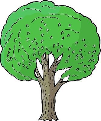 EPS 해외이미지 나무 식물 낙엽 잎 일러스트 자연 왕관 목재 초록색 여름 봄 나뭇가지 숲 만화 고립 미루나무 해외202004 해외일러스트 계절 컬러 재료 생태계 파일형식 벡터 이미지허브