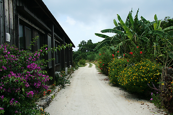 포토 JPG 해외이미지 전통 꽃 아시아 도로 길 모래 섬 여행 잎 자국 휴가 거리 주택 동양인 사람없음 목재 빨간색 여행객 일본 보라색 오두막 먼지 남쪽 선로 해외202004 해외포토 나무 식물 나라 컬러 재료 교통시설 사람 인종 건물 방향 파일형식 이미지허브