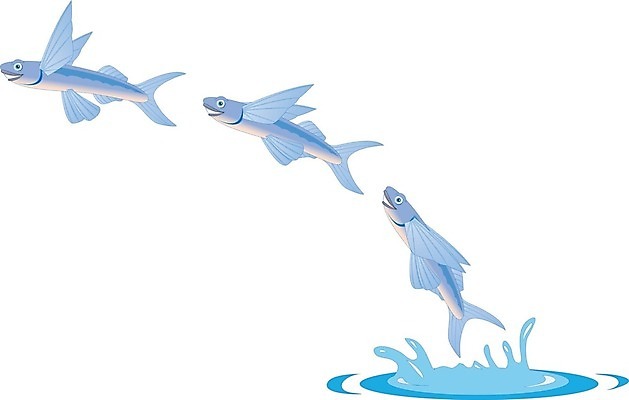 EPS 해외이미지 클립아트 동물 1 디자인 포즈 백그라운드 컨셉 오렌지 일러스트 모션 자연 날씨 어류 물 여름 반려동물 반사 점프 수영 봄 거품 자유 흰색 용기 투명 액체 유머 떨어짐 큼 만화 탈출 순수 눈물 그림 탱크 분무기 난민 고립 무료 특별함 스플래쉬 해외202004 해외일러스트 자연요소 그릇 계절 감정 컬러 과일 수중동물 수상스포츠 크기 생태계 파일형식 벡터 이미지허브