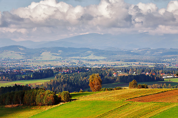 포토 JPG 해외이미지 나무 공원 유럽 길 여행 백그라운드 밭 자연 하늘 산 주택 풍경 사람없음 야외 목재 초록색 여름 파란색 빛 컬러풀 노란색 마을 환경 계곡 맑음 가을 시골 숲 언덕 그림 폴란드 10월 내추럴 해외202004 해외포토 식물 계절 공공시설 나라 컬러 농업 재료 날씨 건물 날짜 생태계 파일형식 이미지허브