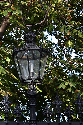 포토 JPG 해외이미지 나무 전통 디자인 잎 가로등 유리 조명 거리 미술 사람없음 장식 초록색 빛 갈색 금속 검은색 어둠 에너지 수확 골동품 나뭇가지 등불 램프 도시 절약 화려 역사 클래식 끝 우아함 철 오브젝트 복고 구식 옛날 철강 해외202004 해외포토 식물 공공시설 컬러 컨셉 농업 재질 문화예술 파일형식 이미지허브