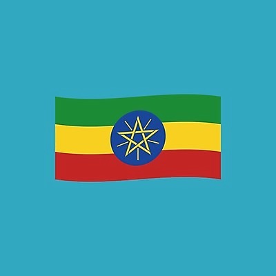 EPS 해외이미지 전통 디자인 배너 문화 물결 캠페인 여행 컨셉 일러스트 휴가 미술 경사 이벤트 그래픽 장식 축제 웹 자유 축하 깃발 막대기 플랫 만화 선거 심볼 사인 깃대 봉 애국심 대각선 교차 고립 독립 에티오피아 엘리먼트 전국 해외202004 해외일러스트 선 인터넷 아프리카 문화예술 민주주의 파일형식 벡터 이미지허브