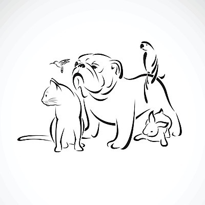 EPS 해외이미지 동물 디자인 실루엣 나비 일러스트 포유류 자연 조류 미술 앉기 그래픽 반려동물 세트 픽토그램 검은색 고양이 토끼 그룹 개 만화 수집 문신 심볼 사인 그림 앵무새 윤곽 비글 불독 수의사 송곳니 고립 돌봄 마스코트 벌새 엘리먼트 유래 해외202004 해외일러스트 컬러 곤충 모션 문화예술 촬영기법 의사 치아 생태계 파일형식 벡터 이미지허브