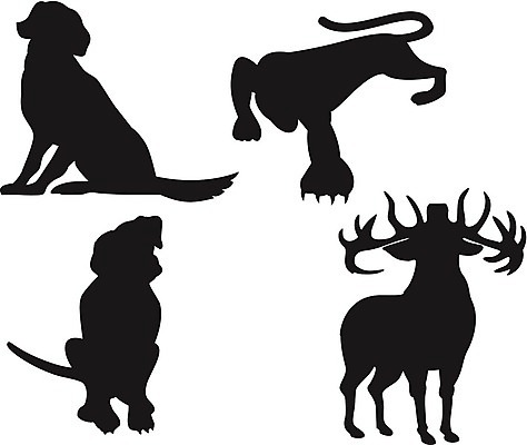 EPS 해외이미지 동물 실루엣 야생동물 일러스트 사슴 뿔 그래픽 개 여우 늑대 치타 표범 송곳니 재규어 집게발 해외202004 해외일러스트 포유류 촬영기법 치아 파일형식 벡터 이미지허브