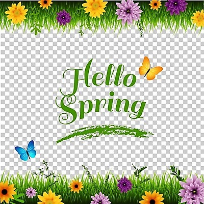 EPS 해외이미지 식물 템플릿 디자인 배너 꽃잎 꽃 포스터 분홍색 나비 결혼 백그라운드 잎 꽃무늬 패턴 일러스트 자연 국화 발렌타인데이 초록색 여름 유행 웹 화환 봄 벚꽃 오브젝트 데이지 라일락 내추럴 캐모마일 해외202004 해외일러스트 계절 컬러 곤충 무늬 인터넷 데이이벤트 이벤트 허브 생태계 파일형식 벡터 이미지허브