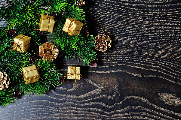 포토 JPG 해외이미지 나무 전통 디자인 계절 열매 별 백그라운드 크리스마스 겨울 패턴 자연 휴가 새로움 프레임 사람없음 목재 장식 빨간색 초록색 축제 공백 장식볼 흰색 나뭇가지 소나무 눈송이 널 연도 상록수 침엽수 전나무 원뿔 포인세티아 내추럴 옛날 가문비나무 카피스페이스 해외202004 해외포토 자연요소 도형 식물 기념일 꽃 컬러 컨셉 무늬 재료 눈_날씨 생태계 파일형식 이미지허브