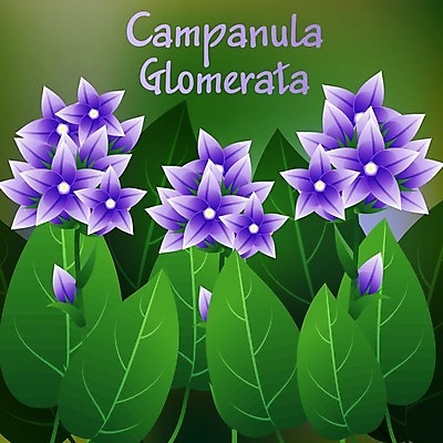 EPS 해외이미지 나무 식물 꽃잎 꽃 줄기 백그라운드 컨셉 잎 꽃무늬 일러스트 자연 미술 파란색 보라색 봄 성장 벚꽃 종 나뭇가지 개화 제비꽃 심볼 사인 그림 향기 아로마 향 아로마테라피 내추럴 고립 블루벨 이국적 캄파눌라 해외202004 해외일러스트 계절 컬러 무늬 문화예술 생태계 냄새 테라피 파일형식 벡터 이미지허브