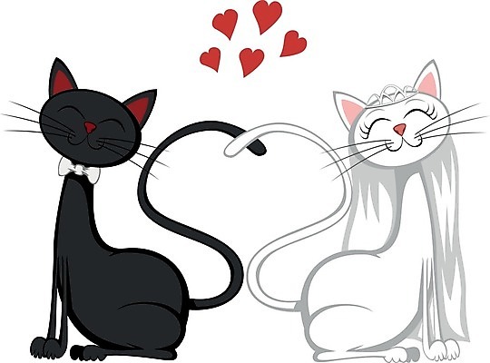 EPS 해외이미지 동물 커플 여자 행복 일러스트 포유류 관계 결혼식 남편 친절 수염 털 함께함 발렌타인데이 사랑 미소 앉기 반려동물 검은색 고양이 봄 하트 아내 달콤 강아지 시원함 만화 만족 꼬리 마스코트 해외202004 해외일러스트 모양 계절 감정 컬러 결혼 컨셉 모션 데이이벤트 표정 사람 개 맛 파일형식 벡터 이미지허브