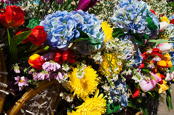 포토 JPG 해외이미지 식물 계절 꽃잎 꽃 꽃다발 백그라운드 꽃무늬 자연 선물 사람없음 장식 초록색 여름 머리 정원 스파 화목 봄 활발 개화 난초 고급 우아함 맛 냄새 아로마 향 단아함 해외202004 해외포토 컬러 컨셉 무늬 신체부위 생태계 파일형식 이미지허브