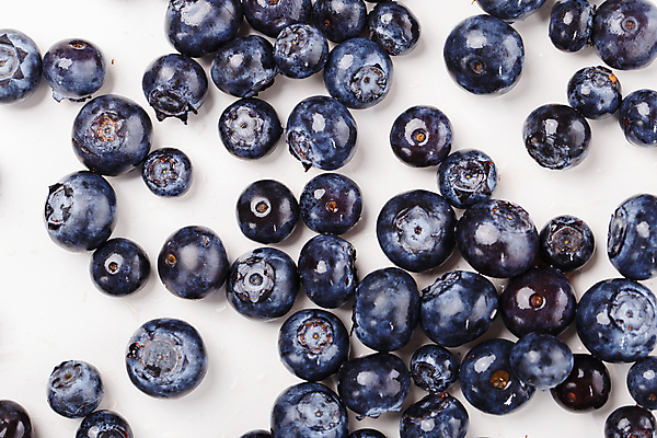 포토 JPG 해외이미지 열매 음식 백그라운드 잎 농업 과일 자연 디저트 건강 사람없음 파란색 빛 농장 소풍 정원 수확 흰색 시골 신선 달콤 맛 잼 먹기 유기농 블루베리 흙더미 고립 숙성 채식주의자 많음 해외202004 해외포토 식물 웰빙 산업 컬러 컨셉 모션 야외활동 흙 소스_음식 생태계 채식 파일형식 더미 이미지허브