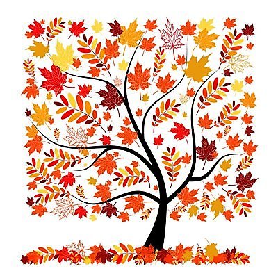 EPS 해외이미지 모양 나무 식물 디자인 계절 꽃잎 실루엣 백그라운드 단풍 잎 오렌지 일러스트 자연 추상 미술 장식 빨간색 노란색 환경 검은색 소용돌이 가을 나뭇가지 원형 투명 떨어짐 숲 9월 만화 윤곽 10월 고립 엘리먼트 적자 해외202004 해외일러스트 도형 꽃 컬러 컨셉 무늬 과일 문화예술 촬영기법 회오리 날짜 생태계 파일형식 벡터 이미지허브