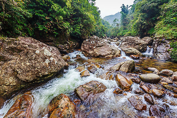 포토 JPG 해외이미지 나무 계절 길 파도 모션 자연 산 풍경 경사 사람없음 목재 초록색 물 강 환경 골짜기 거품 폭포 젖음 흐름 추위 바위 신선 개울 숲 시원함 홍수 속도 운하 방법 해외202004 해외포토 자연요소 식물 바다 컬러 컨셉 재료 돌_바위 자연재해 생태계 파일형식 이미지허브