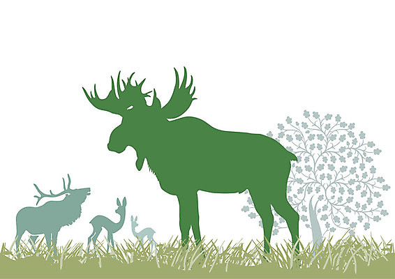 EPS 해외이미지 동물 공원 야생동물 밭 일러스트 자연 파노라마 풍경 초록색 보호 숲 발사 그림 사냥 사냥꾼 내추럴 내일 아기사슴 엘크 해외202004 해외일러스트 직업 공공시설 새끼 컬러 컨셉 농업 사슴 촬영기법 생태계 파일형식 벡터 이미지허브