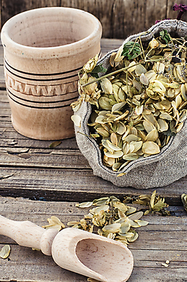 포토 JPG 해외이미지 실내 사람없음 가득함 나무통 스쿱 포대자루 나무배경 해외202004 홉 해외포토 식물 백그라운드 통 내부 자루 파일형식 이미지허브