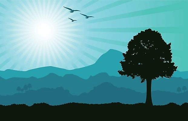 EPS 해외이미지 나무 일러스트 산 오리 풍경 일출 침묵 황혼 일몰 언덕 해외202004 해외일러스트 식물 조류 노을 소리 파일형식 벡터 이미지허브