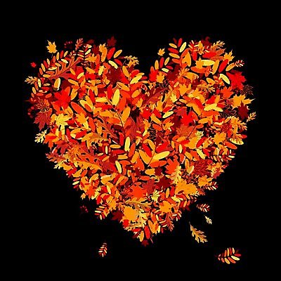 EPS 해외이미지 모양 나무 계절 단풍 잎 오렌지 일러스트 자연 추상 사랑 빨간색 갈색 노란색 검은색 가을 하트 떨어짐 만화 해외202004 해외일러스트 식물 감정 컬러 컨셉 무늬 과일 생태계 파일형식 벡터 이미지허브