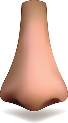 EPS 해외이미지 모양 1 디자인 얼굴 백그라운드 신체 일러스트 부분 해부 사람 그래픽 파란색 약 우주 봄 맛 약국 향수 오브젝트 호기심 서식 코 향기 냄새 아로마 분무기 악취 알레르기 고립 전국 현실 해외202004 해외일러스트 계절 감정 컬러 컨셉 의학 신체부위 화장품 질병 파일형식 벡터 이미지허브