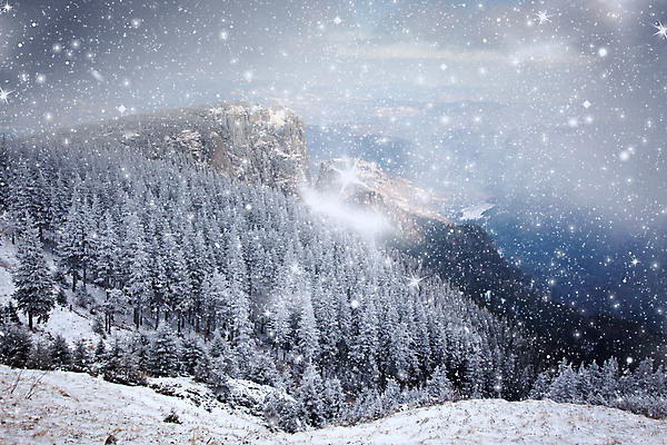 포토 JPG 해외이미지 나무 계절 행복 여행 백그라운드 크리스마스 겨울 자연 하늘 날씨 휴가 새로움 산 기념 요정 국립공원 풍경 사람없음 야외 파란색 빛 태양 얼음 축제 추위 흰색 축하 소나무 눈송이 숲 12월 연도 서리 전나무 루마니아 1월 폭설 눈내림 해외202004 해외포토 자연요소 식물 공원 기념일 감정 유럽 컬러 컨셉 눈_날씨 날짜 자연재해 생태계 파일형식 이미지허브