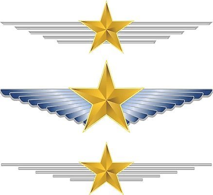EPS 해외이미지 여행 백그라운드 날개 일러스트 우주 힘 공백 수확 흰색 비행 황금 파일럿 심볼 항공 군용 방패 고립 대패 해외202004 해외일러스트 직업 컬러 농업 군대 파일형식 벡터 산업 이미지허브