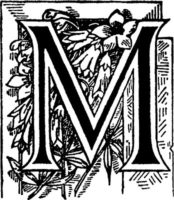 EPS 해외이미지 디자인 선 꽃무늬 일러스트 미술 검은색 수확 흰색 편지 그림 판화 M 해외202004 해외일러스트 알파벳 꽃 컬러 무늬 농업 문화예술 파일형식 벡터 이미지허브