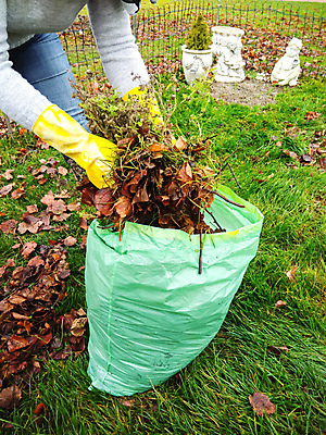 포토 JPG 해외이미지 나무 계절 여자 잎 가방 오렌지 자연 따뜻함 건강 성인 사람없음 야외 초록색 노란색 정원 가을 시골 작업 오브젝트 옛날 많음 해외202004 해외포토 식물 잡화 컬러 컨셉 과일 사람 생태계 파일형식 이미지허브
