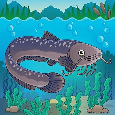 EPS 해외이미지 동물 야생동물 잎 일러스트 자연 표면 바닥 어류 미술 물 강 수중 수영 거품 바위 그리기 그림 눈금 지느러미 서식지 동물상 민물 해외202004 해외일러스트 자연요소 식물 모션 문화예술 조형물 수중동물 수상스포츠 생태계 파일형식 벡터 스포츠 이미지허브