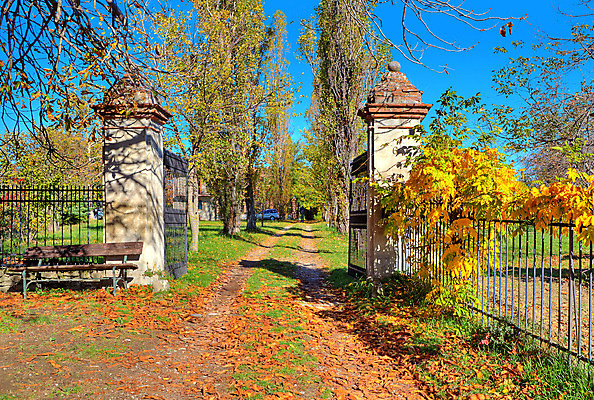 포토 JPG 해외이미지 나무 계절 유럽 길 여행 잎 벤치 오렌지 자연 휴가 풍경 사람없음 야외 빨간색 울타리 컬러풀 노란색 여행객 환경 정원 이탈리아 활발 가을 나뭇가지 시골 대문 산기슭 10월 내추럴 피에몬테 해외202004 해외포토 식물 나라 컬러 컨셉 의자 과일 산 사람 담장 문 날짜 생태계 파일형식 이미지허브