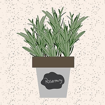 EPS 해외이미지 클립아트 나무 식물 화분 잎 일러스트 자연 사람없음 초록색 주방 정원 나뭇가지 신선 도자기 고명 허브 유기농 원예 내추럴 해외202004 해외일러스트 웰빙 컬러 취미 생태계 파일형식 벡터 이미지허브