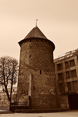 포토 JPG 해외이미지 사람없음 주말 해외202004 해외포토 파일형식 이미지허브