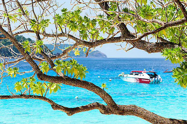 포토 JPG 해외이미지 나무 식물 아시아 바다 섬 여행 잎 태국 자연 하늘 풍경 사람없음 야외 초록색 물 여름 파란색 평화 나뭇가지 만 보트 안다만 파라다이스 푸켓 수평선 해외202004 해외포토 자연요소 계절 나라 컬러 컨셉 배_교통 생태계 파일형식 이미지허브