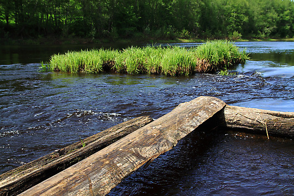 포토 JPG 해외이미지 나무 야생동물 여행 백그라운드 자연 벽지 산 이끼 풍경 사람없음 야외 물 여름 강 햇빛 여행객 평화 맑음 폭포 젖음 흐름 바위 개울 떨어짐 정상 숲 위험 댐 고도 오르막 무료 옛날 콘크리트 해외202004 해외포토 자연요소 식물 동물 계절 공공시설 컨셉 날씨 사람 태양 돌_바위 생태계 파일형식 이미지허브