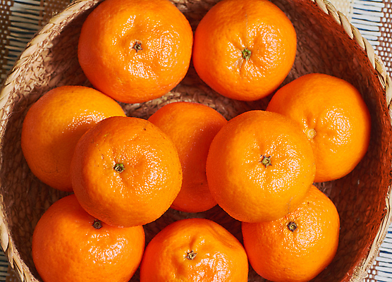 포토 JPG 해외이미지 계절 음식 백그라운드 잎 크리스마스 겨울 다이어트 오렌지 과일 자연 탁자 귤 건강 사람없음 목재 초록색 노란색 바구니 우주 껍질 나뭇가지 시골 신선 그룹 달콤 정상 유기농 냄새 아로마 흙더미 내추럴 숙성 채식주의자 많음 해외202004 해외포토 나무 식물 웰빙 기념일 컬러 가구 컨셉 재료 흙 맛 생태계 채식 파일형식 더미 이미지허브