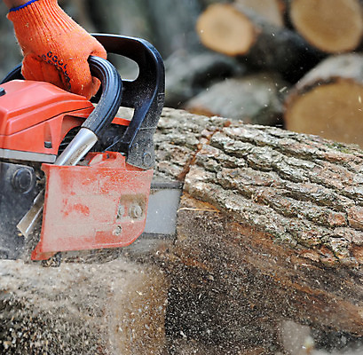 포토 JPG 해외이미지 나무 직업 손 남자 산업 부분 자연 노동자 안전 사람없음 야외 목재 힘 기계 장비 나뭇가지 공구 소나무 업무 칼날 휘발유 숲 위험 장작 자르기 오브젝트 통나무 날카로움 나무껍질 엔진 잡동사니 고립 벌목 수목 전기톱 조작 톱밥 톱질 해외202004 해외포토 식물 컨셉 재료 모션 사람 신체부위 껍질 도구 작업 석유 가루 생태계 톱 파일형식 이미지허브