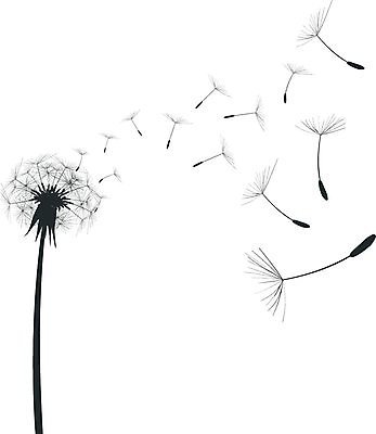 EPS 해외이미지 식물 꽃 실루엣 백그라운드 일러스트 자연 봄 흰색 민들레 그림 생물학 솜털 중력 해외202004 해외일러스트 계절 교육 컬러 촬영기법 생태계 파일형식 벡터 이미지허브