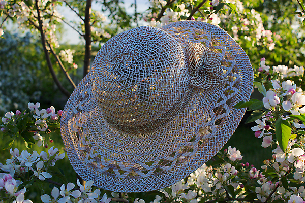 포토 JPG 해외이미지 나무 계절 공원 꽃 잎 자연 휴가 휴식 사람없음 야외 초록색 햇빛 정원 맑음 봄 흰색 나뭇가지 시골 개화 해외202004 해외포토 식물 공공시설 컬러 컨셉 날씨 태양 생태계 파일형식 이미지허브