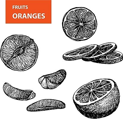 EPS 해외이미지 음료 음식 조각 백그라운드 다이어트 오렌지 과일 일러스트 재료 부분 자연 귤 건강 주스 껍질 신선 원형 양념 달콤 맛 낙서 자르기 먹기 상쾌 그림 유기농 날것 슬라이스 내추럴 숙성 신맛 엘리먼트 채식주의자 해외202004 해외일러스트 도형 웰빙 감정 컨셉 모션 생태계 채식 파일형식 벡터 이미지허브
