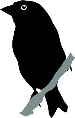 EPS 해외이미지 모양 동물 디자인 실루엣 포즈 백그라운드 날개 일러스트 조류 형상 미술 검은색 자유 흰색 문신 깃털 사인 그림 꼬리 스타일 해외202004 해외일러스트 컬러 컨셉 문화예술 촬영기법 파일형식 벡터 이미지허브