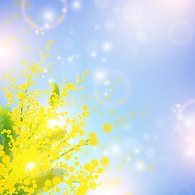 EPS 해외이미지 식물 꽃 꽃무늬 일러스트 자연 하늘 휴가 노란색 봄 벚꽃 나뭇가지 다발 순수 마법 솜털 아카시아 해외202004 해외일러스트 나무 계절 컬러 컨셉 무늬 생태계 파일형식 벡터 이미지허브