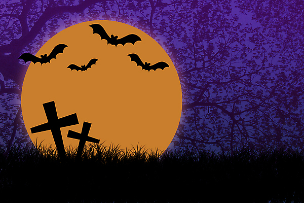 포토 JPG 해외이미지 나무 동물 아이콘 디자인 실루엣 백그라운드 패턴 날개 휴가 미술 사람없음 그래픽 라벨 어둠 할로윈 달 죽음 신용카드 야간 무서움 오브젝트 복고 박쥐 패드 그런지 옛날 조언 해외202004 해외포토 자연요소 식물 감정 무늬 포유류 문화예술 프레임 촬영기법 금융 파일형식 이미지허브