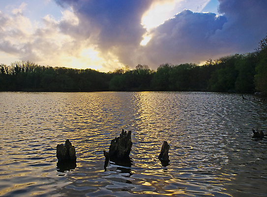 포토 JPG 해외이미지 구름 호수 잎 풍경 사람없음 물 일몰 코르크 아일랜드 해외202004 해외포토 자연요소 식물 유럽 노을 파일형식 이미지허브