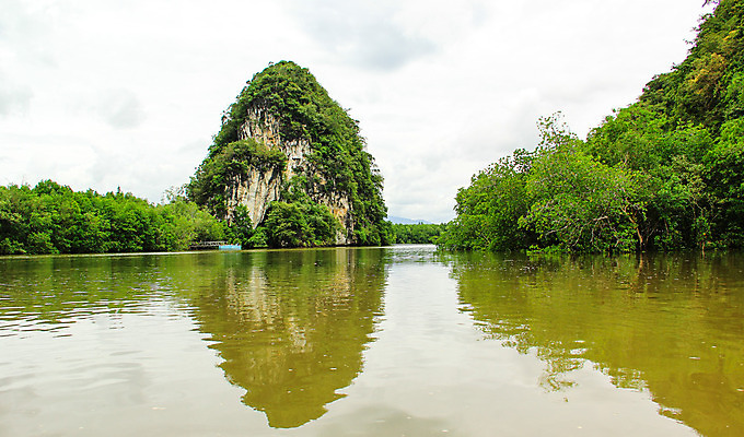 포토 JPG 해외이미지 나무 식물 잎 자연 하늘 풍경 사람없음 초록색 물 환경 나뭇가지 숲 내추럴 해외202004 해외포토 자연요소 컬러 생태계 파일형식 이미지허브