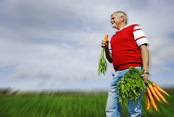 포토 JPG 해외이미지 식물 1 남자 음식 조각 밭 농업 채소 오렌지 자연 노동자 건강 한명 사람 풍경 성인 야외 초록색 여름 농작물 컬러풀 농장 농경지 당근 수확 시골 신선 업무 그룹 맛 농부 다발 유기농 뿌리 F 내추럴 채식주의자 해외202004 해외포토 직업 웰빙 알파벳 계절 산업 컬러 컨셉 과일 뿌리채소 작업 생태계 채식 파일형식 이미지허브
