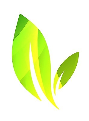 EPS 해외이미지 모양 나무 식물 디자인 실루엣 커피 컨셉 단풍 잎 꽃무늬 곡선 일러스트 비즈니스 자연 병원 그래픽 여름 파란색 숫자 라벨 환경 검은색 봄 가을 흰색 차 심볼 사인 그림 에코 브런치 윤곽 아로마 에메랄드 내추럴 고립 떠남 생태학 엘리먼트 활자 해외202004 해외일러스트 문자 계절 교육 꽃 음료 선 컬러 무늬 의학 모션 프레임 촬영기법 식사 보석 생태계 활자판 파일형식 벡터 이미지허브