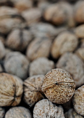 포토 JPG 해외이미지 나무 1 영어 계절 음식 백그라운드 과일 재료 자연 건조 건강 사람없음 갈색 견과류 껍질 가을 신선 오픈 그룹 맛 정상 먹기 오브젝트 유기농 호두 10월 내추럴 고립 단백질 바이오 채식주의자 해외202004 해외포토 식물 문자 웰빙 컬러 컨셉 모션 날짜 생태계 채식 영양소 파일형식 이미지허브