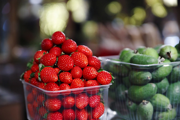 포토 JPG 해외이미지 라이프스타일 계절 열매 음식 백그라운드 농업 다이어트 과일 자연 탁자 딸기 디저트 건강 사람없음 빨간색 농작물 상자 바구니 활발 수확 신선 그룹 시장 달콤 맛 아침식사 작음 먹기 오브젝트 만족 상쾌 유기농 원예 날것 슛 칼로리 생태학 숙성 채식주의자 해외202004 해외포토 식물 웰빙 교육 감정 산업 컬러 가구 컨셉 모션 취미 생활 식사 크기 생태계 채식 파일형식 이미지허브