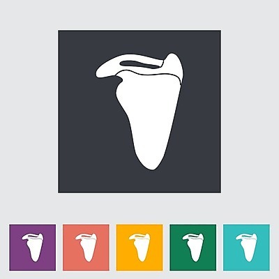 EPS 해외이미지 모델 과학 신체 일러스트 해부 뼈 골격 건강 사람 치료 약 고통 흰색 플랫 어깨 질감 생물학 위치 골다공증 팔 고립 연골 해외202004 해외일러스트 교육 감정 컬러 의학 신체부위 질병 파일형식 벡터 이미지허브