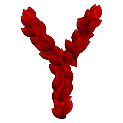 EPS 해외이미지 식물 캐릭터 디자인 알파벳 계절 꽃잎 꽃 컨셉 잎 꽃무늬 일러스트 텍스트 자연 빨간색 여름 세트 장미 정원 봄 활발 흰색 신선 편지 수집 심볼 오브젝트 사인 유기농 질감 생물학 타입 Y 내추럴 고립 바이오 스타일 해외202004 해외일러스트 일러캐릭터 웰빙 영어 교육 컬러 무늬 생태계 파일형식 벡터 문자 이미지허브