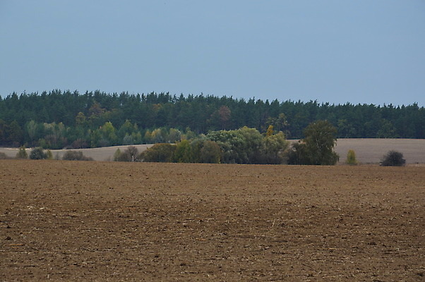 포토 JPG 해외이미지 나무 식물 계절 공원 백그라운드 단풍 잎 자연 아침 풍경 사람없음 야외 빨간색 초록색 빛 컬러풀 노란색 활발 가을 숲 해외202004 해외포토 주간 공공시설 컬러 컨셉 생태계 파일형식 이미지허브