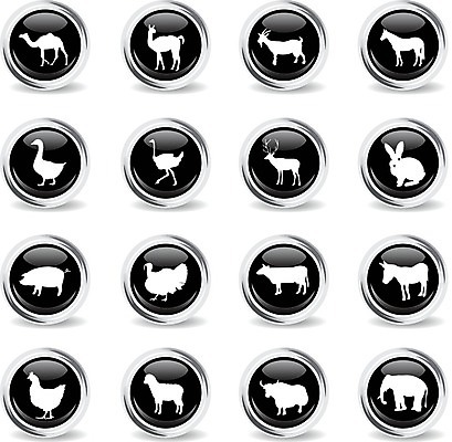 EPS 해외이미지 일러스트 사슴 염소 코끼리 금속 치킨 가축 토끼 양 돼지 원형 소 심볼 낙타 거위 당나귀 타조 라마 철강 해외202004 해외일러스트 도형 동물 포유류 재질 조류 반려동물 말_동물 닭고기요리 파일형식 벡터 이미지허브
